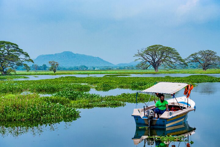 Boat Tour in Tissamaharama Lake - Photo 1 of 11